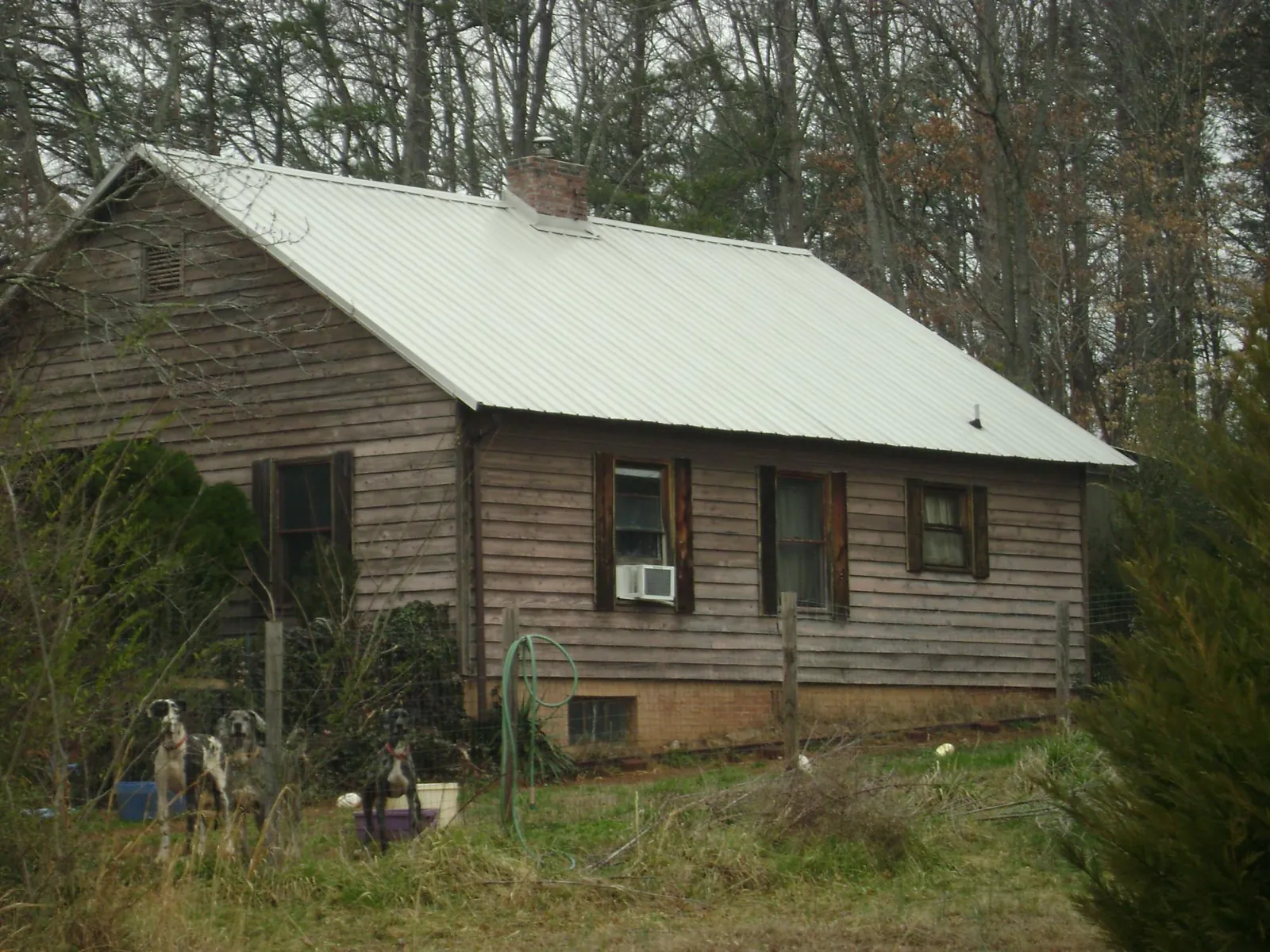 White metal roof on an old wood sided farmhouse, from a Asphalt Shingle Roof Repair job in White Sulphur Springs